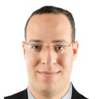 Dr. Anwer Sayed Abdelhameed Ahmed avatar image