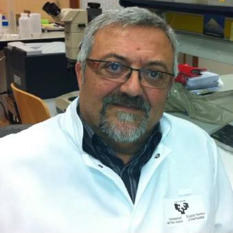 Prof. Dr. Jorge Martínez Quesada avatar image