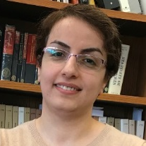 Dr. Somayeh Mashayekhi avatar image