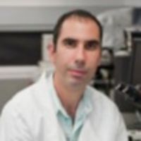 Dr. Huseyin Sumer avatar image