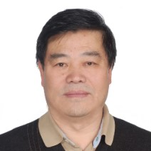 Prof. Dr. Dongqing Wei avatar image