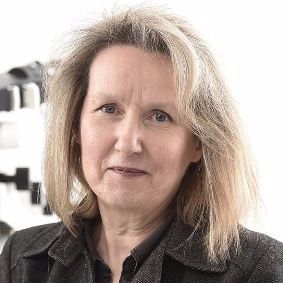 Prof. Dr. Anna-Leena Sirén avatar image