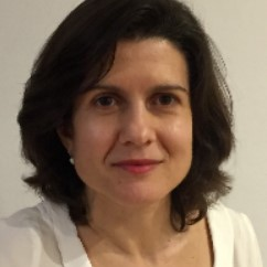 Prof. Paula A. Videira avatar image