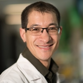 Prof. Dr. Marc Kvansakul avatar image