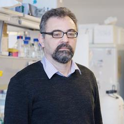 Dr. Jesús R. Requena avatar image