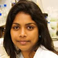 Dr. Soumya Palliyil avatar image