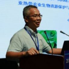 Prof. Dr. Jianye Chen avatar image