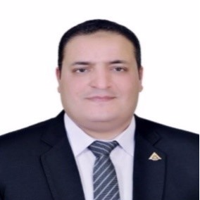 Dr. Metwally Rashad Metwally avatar image