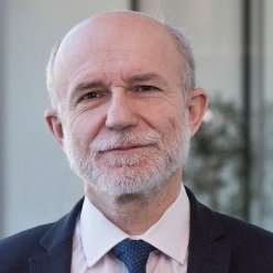 Prof. Dr. Federico Corni avatar image