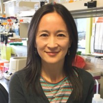 Dr. Yi Sheng avatar image