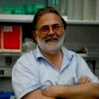 Dr. José A. García-Sanz avatar image