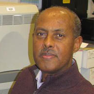 Dr. Tigst Demeke avatar image