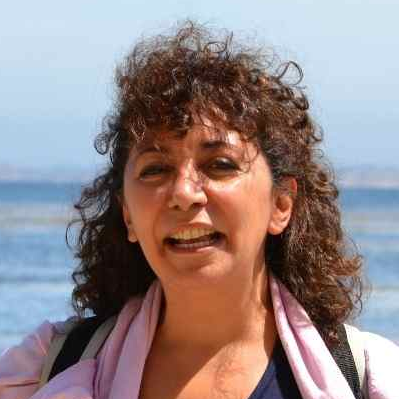 Dr. Anna Maria Mercuri avatar image