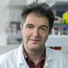 Dr. Sergio Roman-Roman avatar image