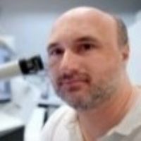 Dr. Athanassios D. Velentzas avatar image