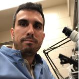 Dr. Bruno Siqueira Mietto avatar image