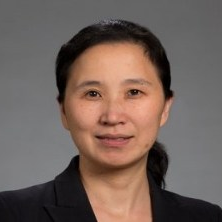 Dr. Ying Wang avatar image