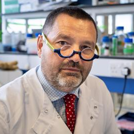 Dr. Hans Michael Haitchi avatar image