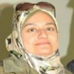 Prof. Dr. Heba Abdallah avatar image