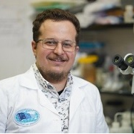 Dr. Ilya Gordeev avatar image