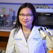 Dr. Yingfei Wang avatar image