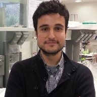 Dr. Jonathan Albo avatar image