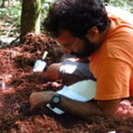 Dr. Simone Di Prima avatar image