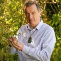 Dr. David A.J. Teulon avatar image