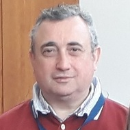 Prof. José Carlos Sá avatar image