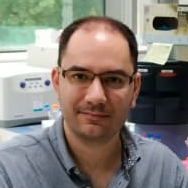 Dr. Antonio Franconetti avatar image