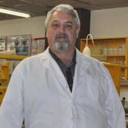 Dr. Ian Edwin Cock avatar image