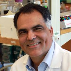 Dr. Carlos S. Moreno avatar image