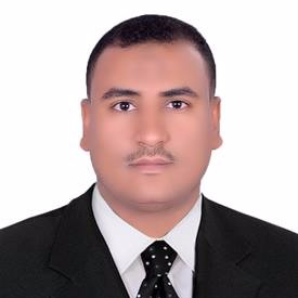 Prof. Dr. Hamada Esmaiel avatar image