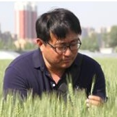 Prof. Dr. Cheng Liu avatar image