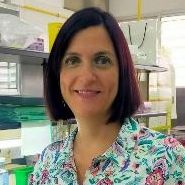 Dr. Elena Talero avatar image