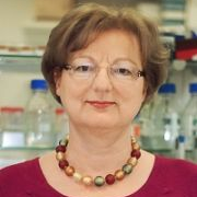 Prof. Dr. Charlotte Esser avatar image