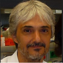 Dr. Lluis Espinosa avatar image