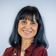 Prof. Dr. Carla M. A. Pinto avatar image