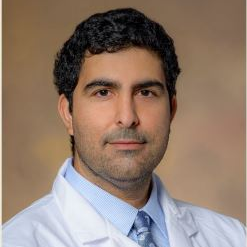 Dr. Saman Nematollahi avatar image