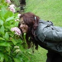 Dr. Chao Hui Feng avatar image