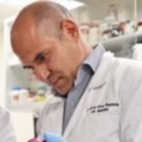 Prof. Dr. Carlos Pérez Plasencia avatar image