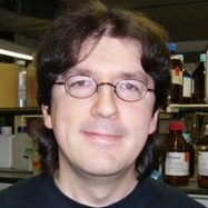 Dr. Bernhard Biersack avatar image