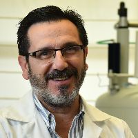 Prof. Dr. Andrés Moreno avatar image