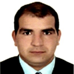 Prof. Dr. Abdelsamed I. Elshamy avatar image