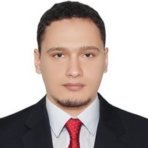 Dr. Mohamed Shaheen avatar image