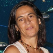 Prof. Dr. Margarida Antunes avatar image