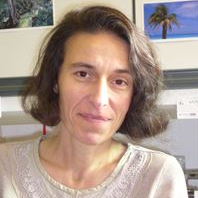 Prof. Dr. Andrea Hartner avatar image