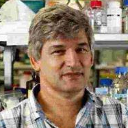 Prof. Dr. Adrie J.C. Steyn avatar image