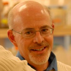 Dr. David Waisman avatar image