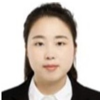 Prof. Dr. Li Wang avatar image